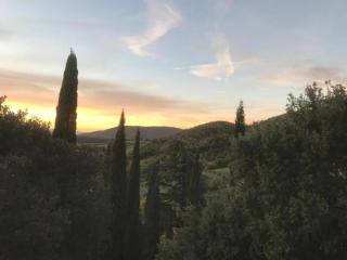 Ritzy Villa on a Wine Estate in Arezzo with Pool - Arezzo - 7