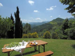 Pretty Holiday Home in Acqualagna with Swimming Pool - Acqualagna - 6