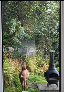 Dairsie Sea View - 8