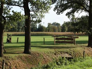 Holiday Home in Geesteren with Roof Terrace,Garden Furniture - Geesteren - 4