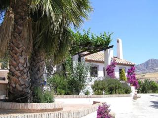 Guest house in a traditional Andalusian country estate - 1