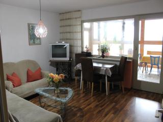Welcoming Chalet near Forest in Rohrnbach - 1