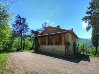 Alluring Farmhouse in Ortignano with Swimming Pool - Castel Focognano - 7