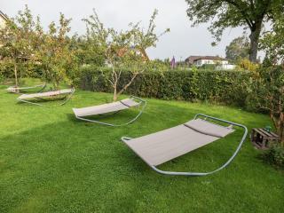 Dreamy Holiday Home in Ellscheid with Terrace - 4
