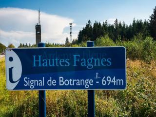 Spacious mansion in Waimes with sauna - 4