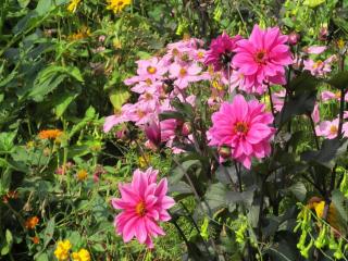Historic Farmhouse in Hohnebostel with Garden near Lake - Langlingen - 4