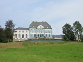 Luxurious castle in Marchin with infrared sauna - 3