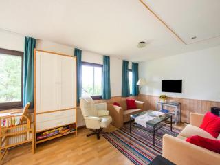 Spacious Apartment in Frankenau Hesse near the Forest - Frankenau - 6