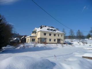 Large apartment in the beautiful Sauerland with garden, patio and sauna - Erndtebrück - 6