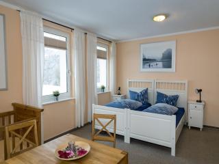 Large apartment in the beautiful Sauerland with garden, patio and sauna - Erndtebrück - 4