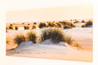 Ferienwohnungen im Haus Südermole - 0