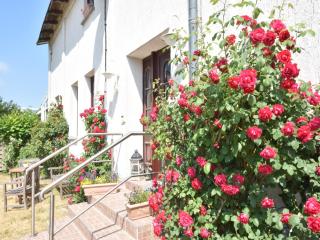 Inviting apartment in Wendelstorf with communal garden - 4