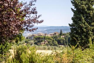 Italian Experience- Poggio Padule - 3