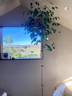 Elegant Charming Family Villa - Greytown - 1