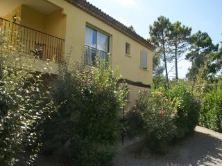 Apartment in Montauroux with Pool & Forest Views - 6