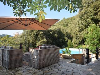 Holiday Home in Dunière with Pool & River Views - Saint-Fortunat-sur-Eyrieux - 1
