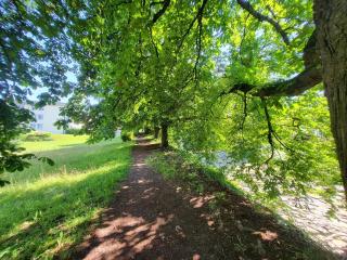 Charming, quiet and close to nature apartment - Altendorf - 5