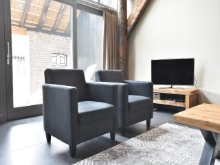 Grandeur Farmhouse in Dwingeloo at a National Park - 1