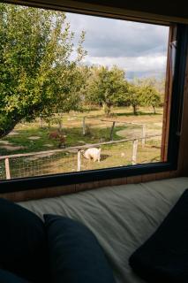Homnest - Escapade Châtelaine à 1h20 de Lyon - Bruailles - 5
