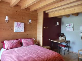 Gite le chapy - Septmoncel - 7