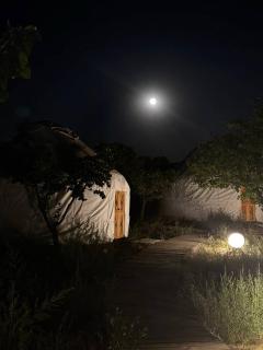 BarBulak Yurt Lodge - Bar-Bulak - 7