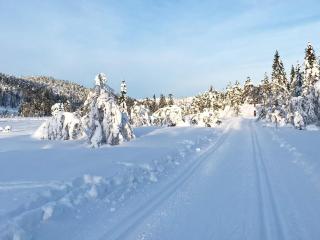 15 person holiday home in Treungen - 1