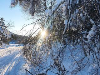 15 person holiday home in Treungen - 2