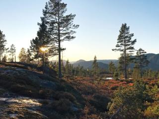 15 person holiday home in Treungen - 3