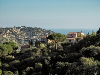 Provencal Holiday Home in Bormes-les-Mimosas with Pool - 4