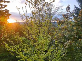 Charming Apartment in Weißenbrunn near Forest - Weißenbrunn - 9