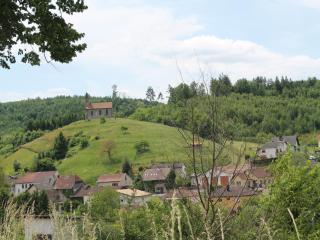 Premium apartment in Saint-Quirin with garden - 3