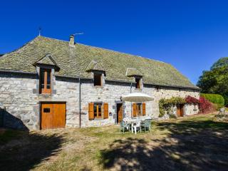 Peaceful Mountain Retreat - Neuvéglise - 4
