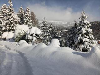 Attractive Apartment in Rokytnice nad Jizerou near Ski Area - 3