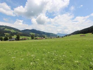 Modern Apartment in Kirchdorf with Garden - 3
