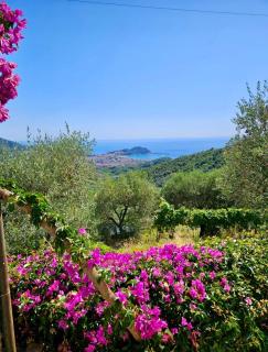 Villa Onde e Ulivi - 6