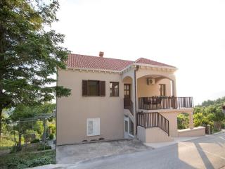 Spacious apartment with private terrace - Pridvorje - 0