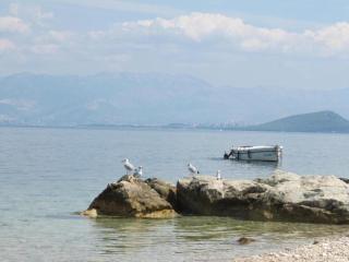 Luxurious Holiday Home in Arbanija with Jacuzzi - Trogir (Traù) - 9