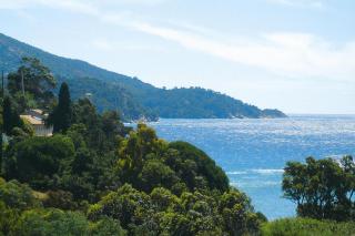 2-room holiday flat with sea view in Residence du Bailli, Rayol-Canadel-sur-Mer - Rayol-Canadel-sur-Mer - 5