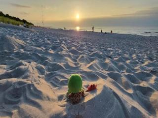 Apartment, Zingst - Zingst - 7