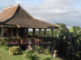 Rumah Pacung - 9