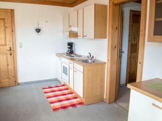 Rauchenbacher Apartments, Mittersill - Mittersill - 8