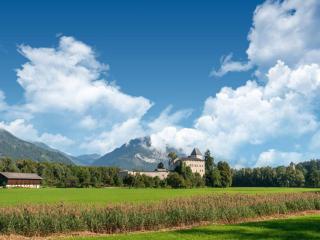 Property in Kirchbichl - 1