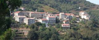 Appartement Casa Rose - 2