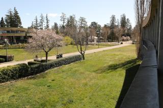 HOTEL RESTAURANT CIRIUS - Montrond-les-Bains - 6