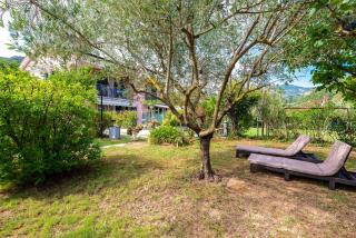 Happy Family, Relax nel Verde - 1