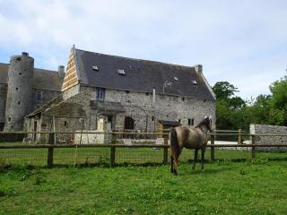 Country house on a beautiful medieval estate - Saint-Lo-dʼOurville - 0