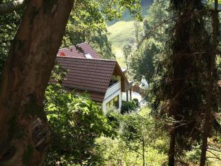 Apartment Haus am Berg, Lonau - Lonau - 1