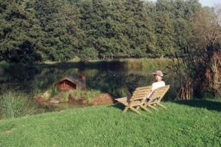 Holiday flat on small holiday farm with indoor pool many activities,Kindwiller - 8