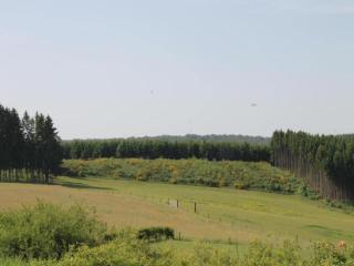 Majestic holiday home near beach - 2