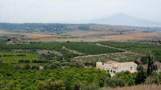 Agriturismo Pietre di Gelo - 9